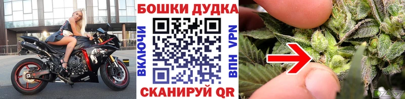 Конопля SATIVA & INDICA  Себеж 